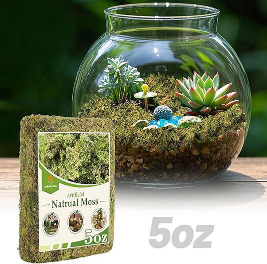 Alphatool 5oz Natural Green Moss for Crafts Beginners - Starter Moss for Plants Indoor, Artificial Fairy Gardens, Mini Mosswall, Glass Terrariums, Filling Fake Plants, Home Decoration