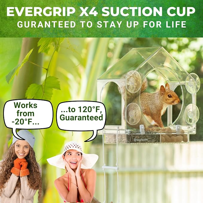 Window Squirrel Feeder - Funny Chipmunk Feeder - Easy to Install, No Assembly Needed - Includes Evergrip 4X Suction Cups - Squirrel Feeders for Outside - Squirrel House