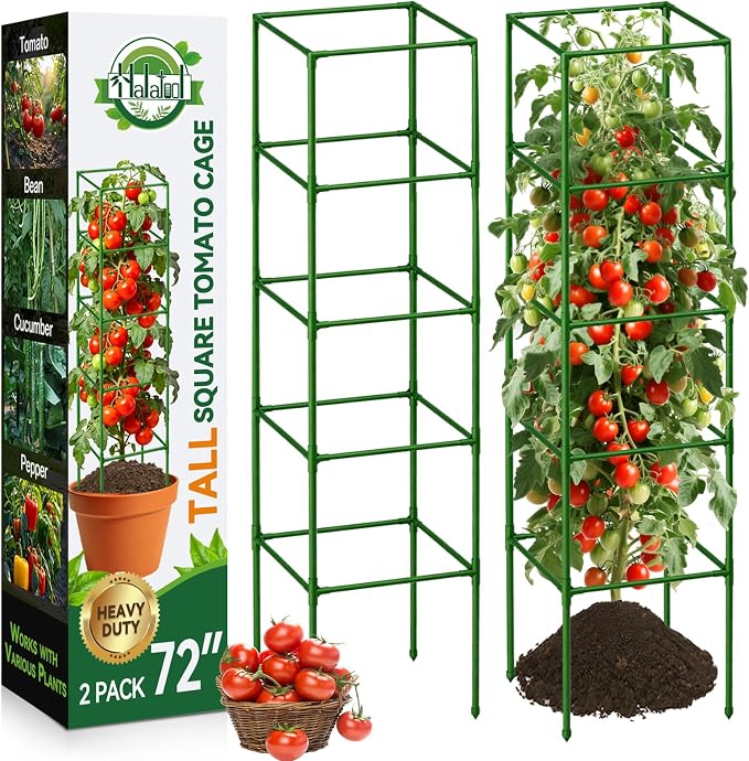 Halatool 2 Pack 72" Tall Square Tomato Cages - Heavy Duty Metal Plant Cage for Indeterminate Tomatoes, Reusable Trellis for Garden Vegetables, Up to 6ft Supports for Peppers, Cucumbers, Raised Beds