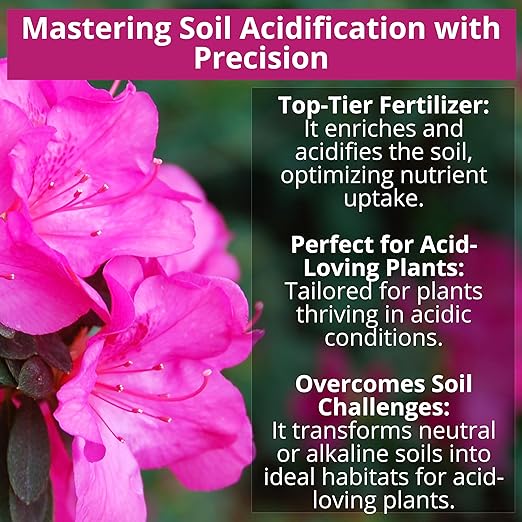 GARDENWISE 8-4-8 Acidic Fertilizer for Azaleas, Camellias (Camelia), Hydrangeas, Blueberries, Gardenias, Magnolia Trees, Evergreens, and Rhododendrons - Ideal Iron-Rich Plant Food (1/2 Quart)
