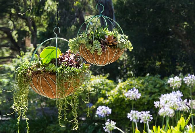 SuperMoss (80304) Leeds Sphere Metal Hanging Basket – Modern Hanging Planter for Indoor & Outdoor Plants – Decorative Metal Hanging Basket for Home, Patio, Garden & Balcony Décor, Medium (14"), Black
