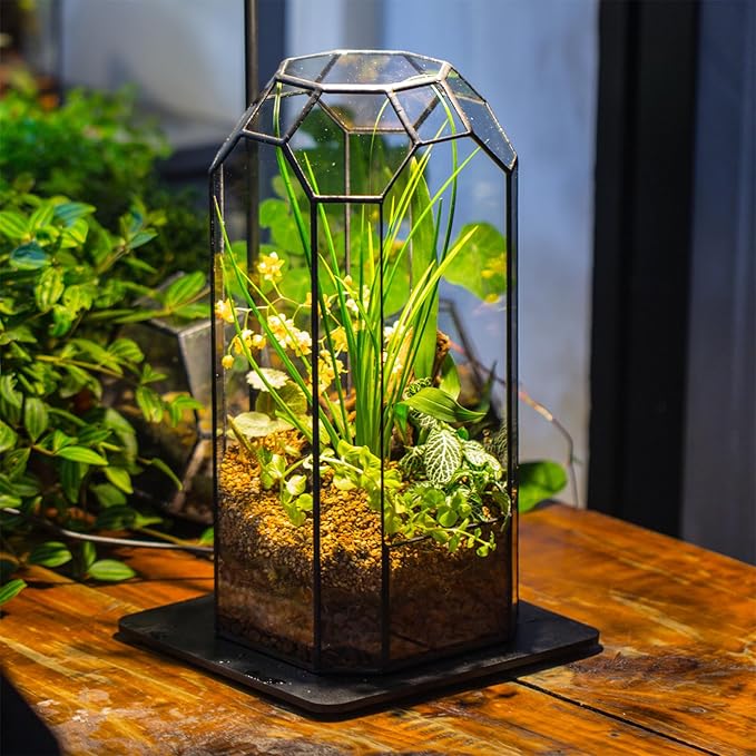 NCYP No Door Glass Geometric Terrarium for Plant, Succulent, Cacti - 5.5"x5.5"x12.8" Indoor Tall Octagon Glass Planter, Home Garden Office Decoration, Micro Landscape (Terrarium Only)