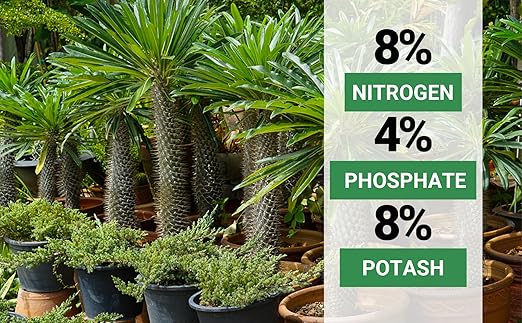 Gardenwise 8-4-8 Professional Palm Tree Fertilizer Plant Food; for Indoor Potted Plants and Outdoor Landscape Palm Trees; Quick-Release Nitrogen Fertilizer and Continuous Feeding (1 Quart)