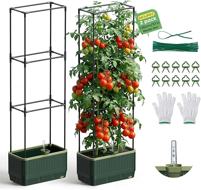 2Pack Raised Garden Bed Tomato Planter with Trellis, Self Watering Tomato Planter with Water Level Indicator, Larger Rectangular Tomato Cages for Indoor & Outdoor Climbing Vegetable and Plants (2)