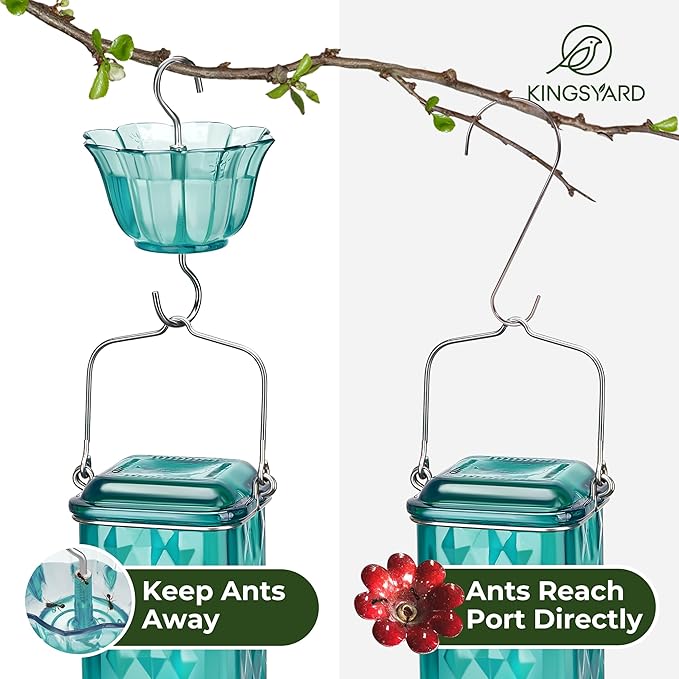 Kingsyard 2 Pack Glass Hummingbird Feeder for Outdoor Hanging, 24 Ounces, 6 Feeding Ports, Bird Nectar Feeder for Garden Décor, Ant Moat Included, Turquoise