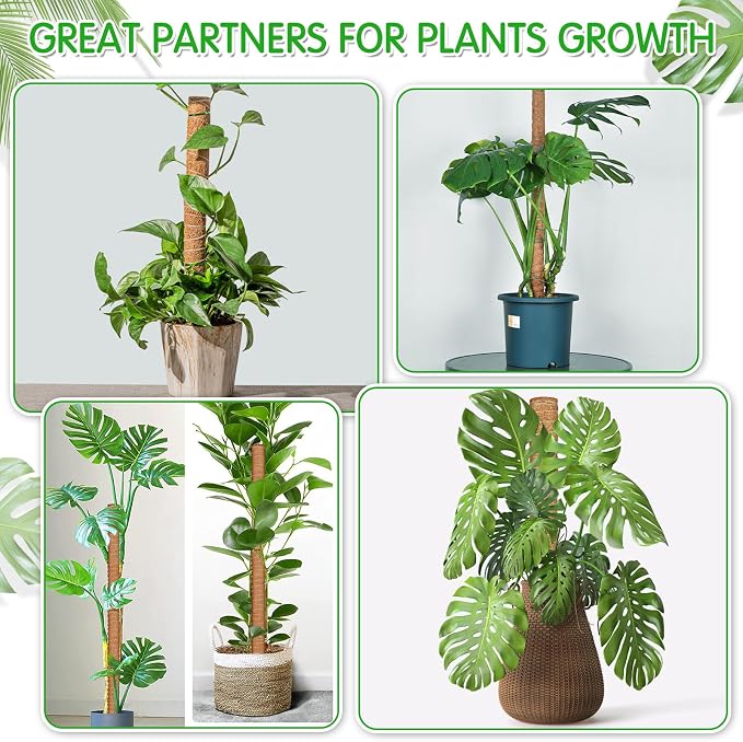 ROADPLUM 102 Inch Moss Pole for Plants Indoor (2*21.7", 2*16.5", 2*12.6") 6Pcs Coco Coir Pole Monstera Plant Support Pole for Plants Climbing with 65.6ft Twist Tie, Plant Tie and Jute Rope for Potted