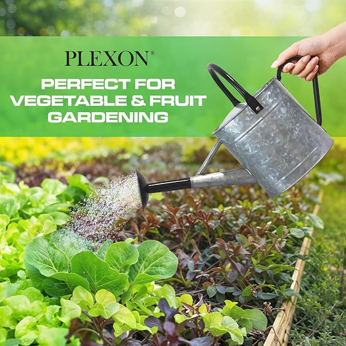 Plexon Metal Watering Can Outdoor 1 Gallon, Flower Plant Gardening Garden Large Galvanized Watering Can Pot Pitcher, Steel Black Handles and Removable Spray Spout