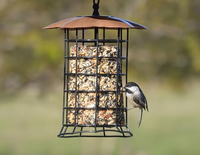 Songbird Essentials Copper Roof Suet Log Feeder