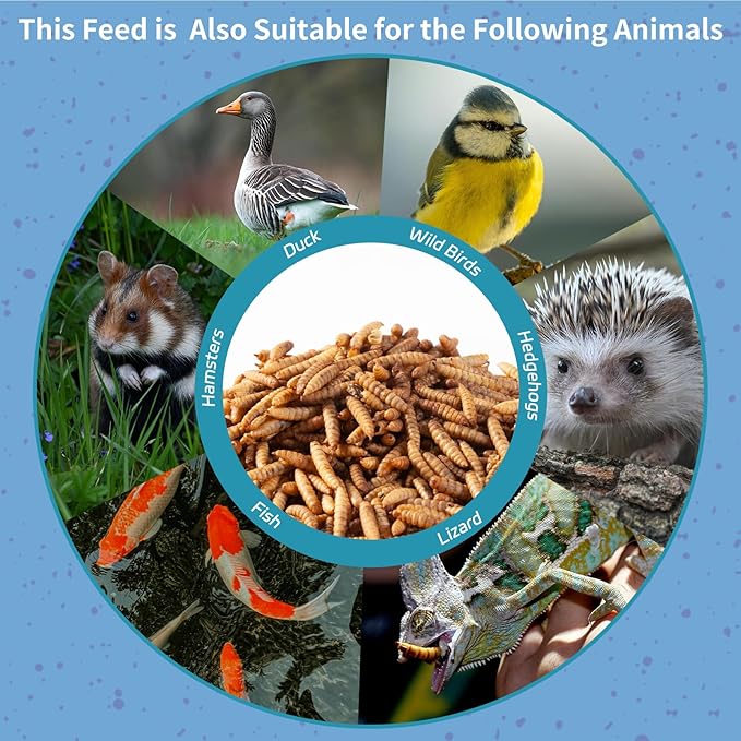 10LB Dried Black Soldier Fly Larvae for Chickens - 85X More Calcium Than Mealworms for Strong Eggshells, High-Protein Chickens Treats for Laying hens, Birds, Ducks