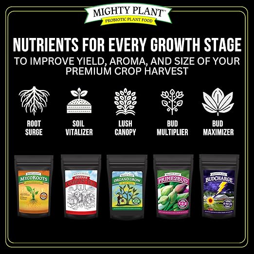 Organic Root Enhancer Ultra-Concentrated Mycorrhizal Fungi MycoRoots – 500 Spores/Gram for Optimal Plant Growth & Health | Boost Soil Nutrient Absorption (5, Ounces)