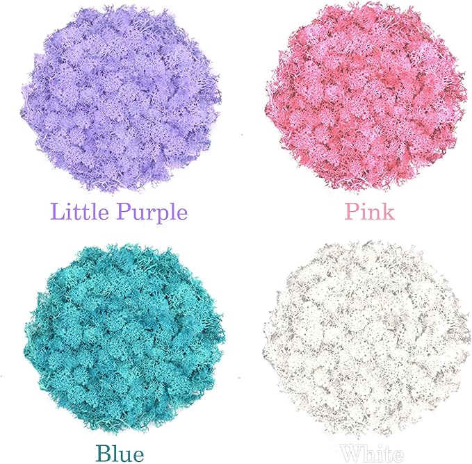 Preserved Reindeer Moss 14 OZ 4 Colors for Crafts, DIY Gift Christmas Decor, Wall Art,Fake Moss for Decor Wedding Decorative(White,Blue,Little Purple and Pink,Each Color 3.5 OZ)