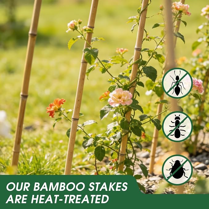 65 Pcs Bamboo Plant Stakes 4 Feet, Oltara Natural Bamboo Sticks Garden Stakes for Climbing Plants Support, Bamboo Poles,Potted Plants, Tomatoes, Beans, Flowers, Trees
