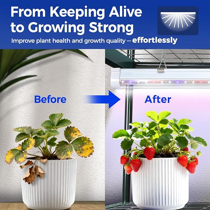 Indoor Greenhouse with Grow Light, Ohuhu 4-Tier Mini Green House for Winter - Full Spectrum Greenhouses for Seed Starting Small Portable Green Houses Waterproof PVC Cover & Adjustable Shelves