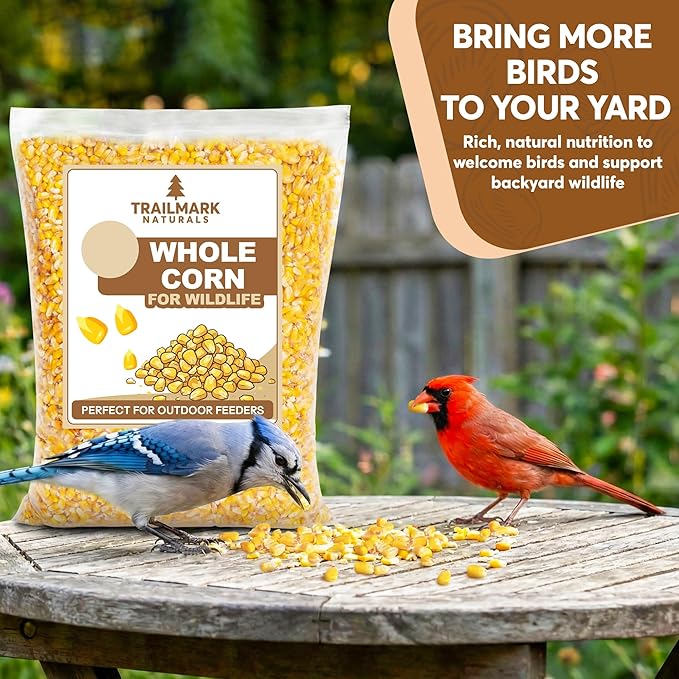 Whole Corn 10 LB– Premium Bird Seed & Wildlife Feed for Ducks, Deer, Squirrels, Chickens, and Turkeys – Whole Corn for Wild Birds – Grown in USA