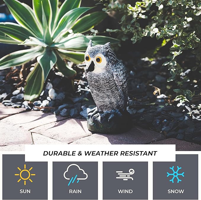 Owl Decoy to Scare Birds Away, Plastic Owl Statue for Garden & Outdoors, Set of 2