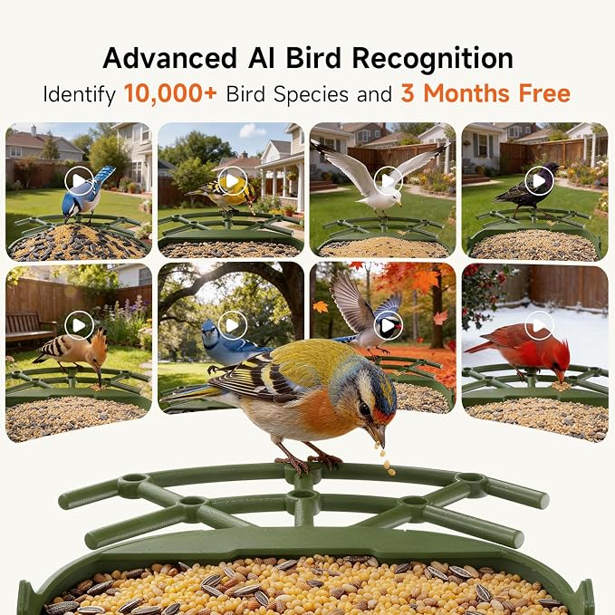 Smart Bird Feeder with Camera - Solar Powered, AI Bird Recognition, 2.4G WiFi 2.5K HD Video Live Stream, Full Color Night Vision, Instant Arrival Alerts, Weatherproof Bird House for Outside
