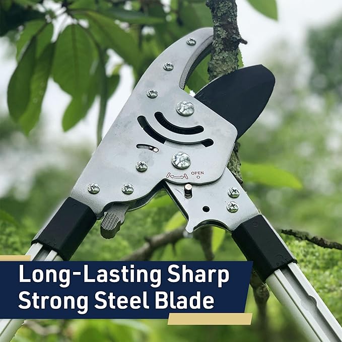 Tree Trimmer Loppers - Double Ratcheting Anvil Lopper - Extendable 26" - 40" Long Handles - Loppers for Tree Trimming Heavy Duty by Kings County Tools