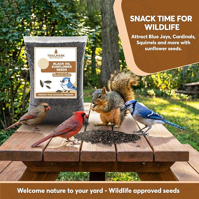 6 Pound Black Oil Sunflower Seeds for Birds – Premium Wildlife Food – Non - GMO -Grown in the USA - Black Oil Sunflower Seeds for Wild Animals and Backyard Feeders
