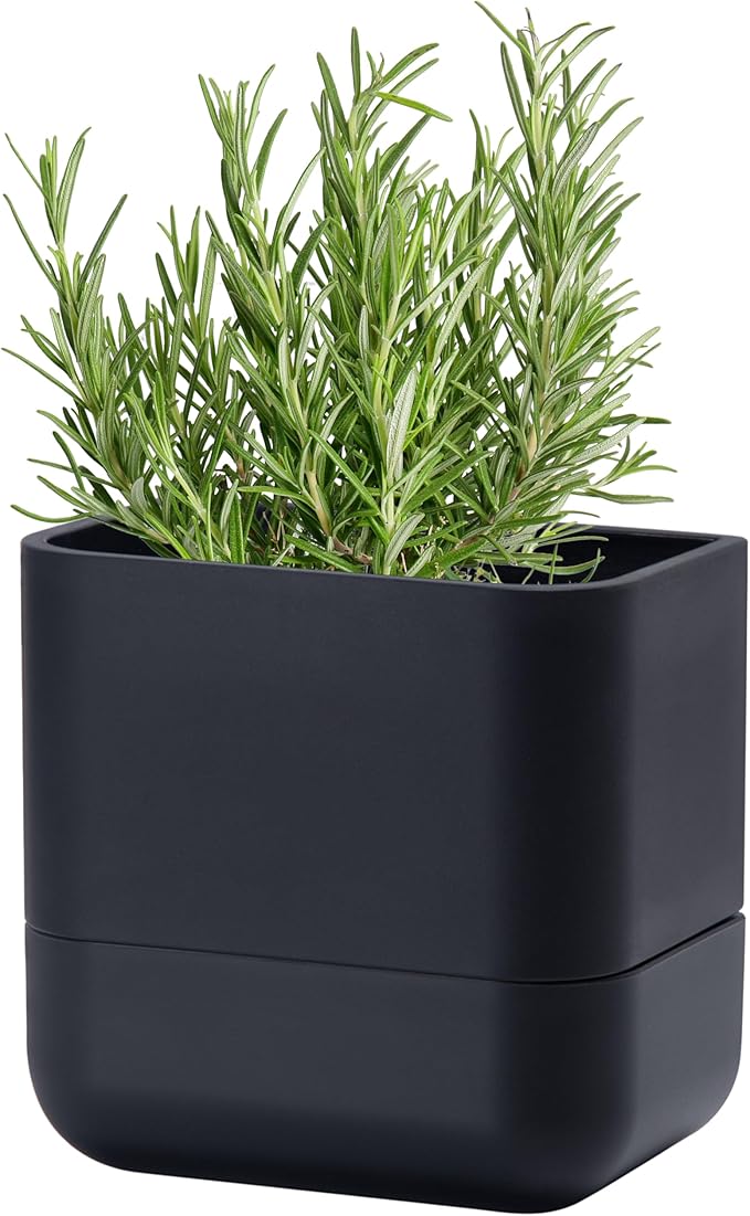 Phoenix Vine 6.5 Inch Wall Mounted Self-Watering Planter Pot for Indoor Houseplants and Herbs | Hanging Planter for Window Sills, Bathroom Walls, Home & Office Décor, Black, Set of 1, 01-C-E-1