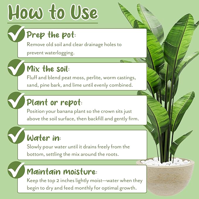 Soil Sunrise Banana Tree Potting Soil Mix (12 Quarts) – Hand-Blended Indoor/Outdoor Mix for Healthy Banana Plants – Enhances Drainage & Root Support – Made in USA