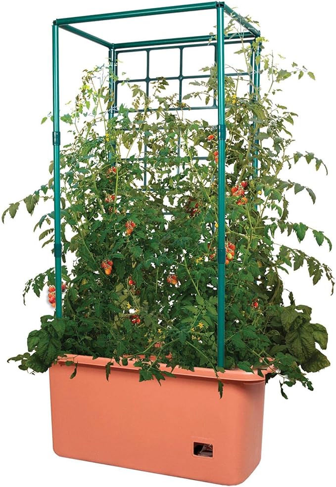Hydrofarm GCTR 10 Gal Tomato Garden Planting Grow System with 4 Foot Trellis Tower on Wheels for Indoor/Outdoor Climbing Vines, Flowers, and Gardens