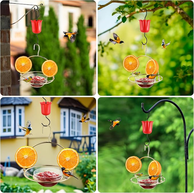 Metal Oriole Feeders for Outdoors Hanging with Ant Moat and Fruit Holder, Oriole Feeder with Glass Bowl, Easy to Disassemble and Wash, Bird Feeder for Garden, Outdoor, Gift (1 Pack, Gold)
