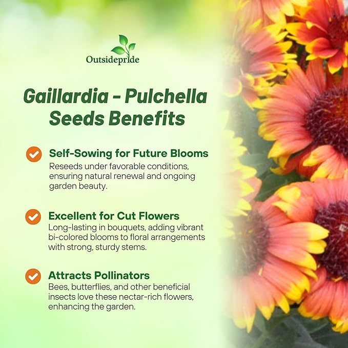 Outsidepride Gaillardia Pulchella Red Indian Blanket Seeds for Planting - 5000 Pcs Annual Flower Seeds, Heat & Drought Tolerant for Xeriscaping, Borders, & Small Garden Spaces