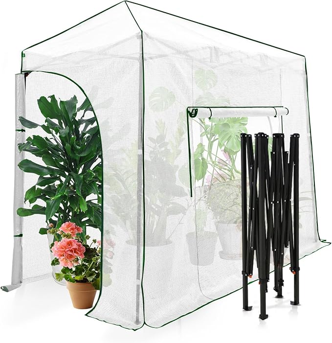 EAGLE PEAK 10x5 Portable Walk in Greenhouse, Pop Up Indoor Outdoor Greenhouse, Green House Kit with Zippered Roll-Up Doors and Windows, Lean-to Design, PE Cover, Clear/White