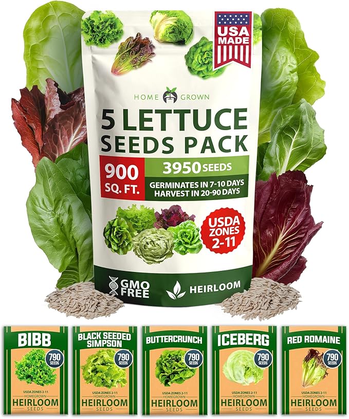 HOME GROWN Lettuce Seeds 5 Variety Mix 3950+ Bulk Pack Heirloom Non-GMO, High Germination, Romaine, Bibb, Buttercrunch, Iceberg, Black Seeded Simpson, Indoor Outdoor Hydroponic Garden (Lactuca sativa)