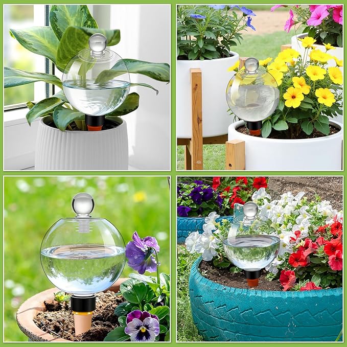 DI QIU REN 6 Pack 19oz Large Self Watering Globes, Automatic Plant Waterer with Glass Stopper - Slow Release Bulbs & Planter Insert, Top-Fill Water Spikes for Indoor Plants (6, Clear)