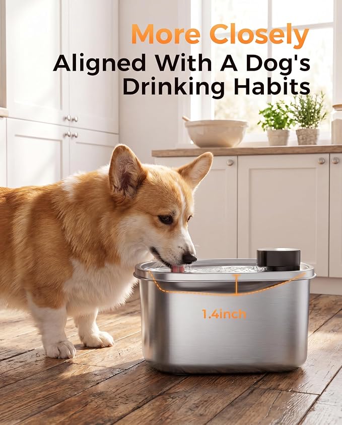 Water Fountain for Dogs Home Outdoor Multi-Pet Stainless Steel 10L/2.64gal Wireless Large Dogs Motion Sensor Dispenser Filtered Cordless Bowl Waterer -Wireless Stainless Steel&1Filters
