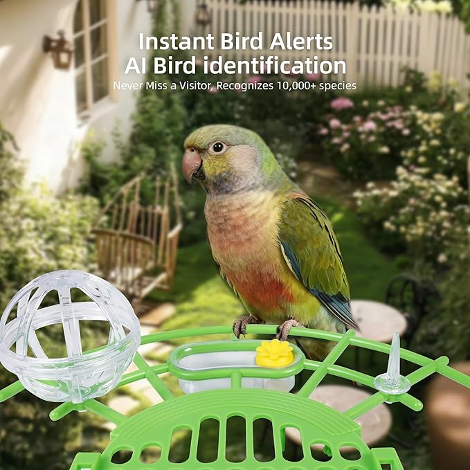 Bird Feeder with Camera,AI Identify Birds Species,Solar Powered,Auto Record Videos in Backyard,Instant Notifications,Ideal Gift for Family and Bird Lovers (Green)