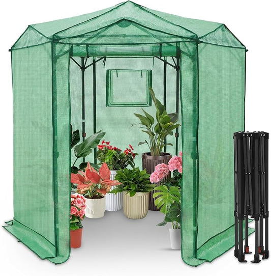 EAGLE PEAK 6.6x6.6 Portable Walk in Greenhouse, Pop Up Indoor Outdoor Greenhouse, Green House Kit with Zippered Roll-Up Doors and Windows, Hexagon Design, PE Cover, Clear/Green