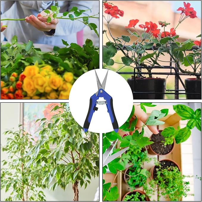 20 Pack 6.5 Inch Garden Pruning Scissors, Hand Pruner with Stainless Steel Blades, Sharp Point Gardening Shears Cutter, Gardening Pruning Shear, Supplies & Accessories(Blue)