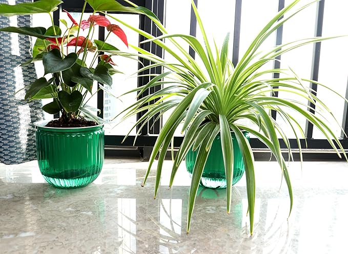 Cornasee 6.5" Plastic Hanging Planter, 3-Pack Self Watering Pots for Indoor Plants,Herbs,Succulent,African Violets (Gray+Green+Clear)