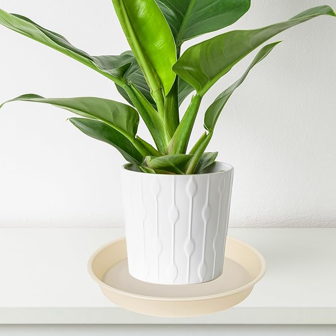 6 Pack of 10 inch Plant Saucer Blue, Heavy Duty Plastic Plant Saucer 10 inch Round, Flower Plant Saucers for Indoors, Plant Trays for Planter 8"/9"/10" (10", Beige)