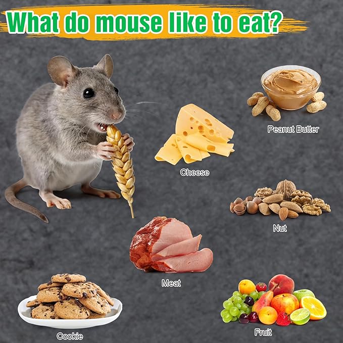 4 Pcs Humane Mouse Traps No Kill, Live Mouse Trap, Reusable Mice Trap Catch for House & Outdoors
