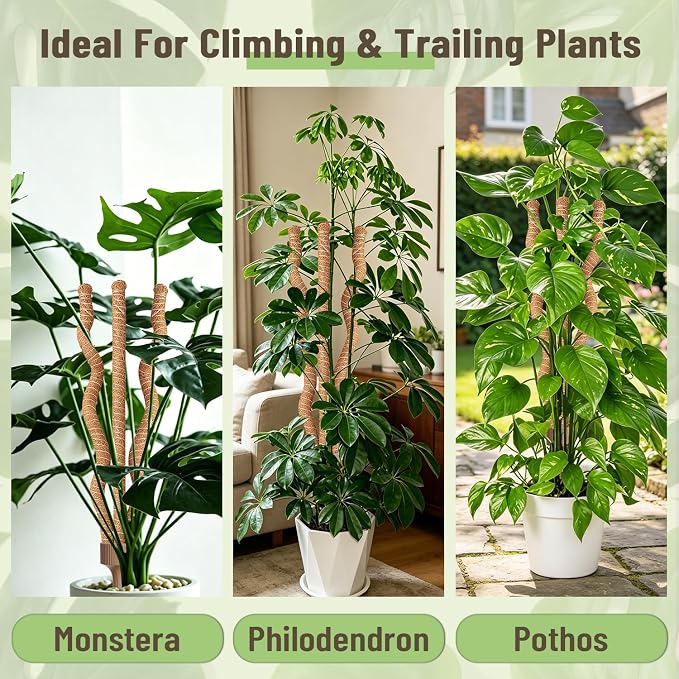 3-in-1 Moss Pole Monstera, Bendable Plant Support, 29.9Inch Moss Poles for Climbing Plants, Plant Stakes for Indoor Plants, Plant Support for Monstera, Pothos - 1 Pack