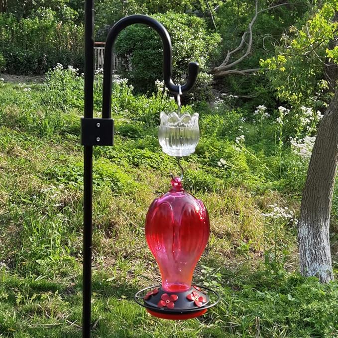 Glass Ant Moat for Hummingbird Feeder - 2PC x 3 OZ Clear Tulip Insect Guard with Large Capacity