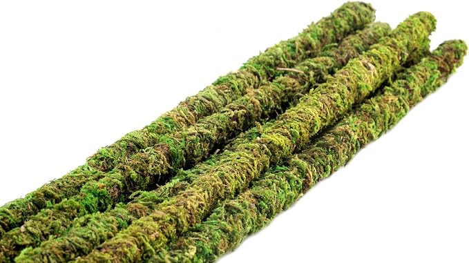 SuperMoss (22051) Moss Stakes Preserved, Fresh Green, 24" (6 pack)