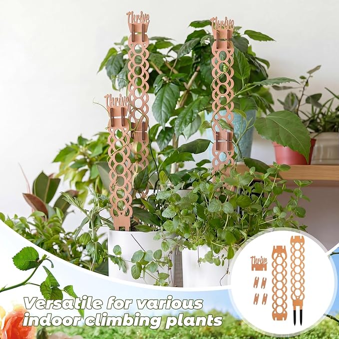 6 Sets Wooden Extendable Plants Trellis Indoor Modular Plant Trellis with Wood Thrive Sign Decor and Extensions for Outdoor Climbing Houseplants Vine Flower Stem (Ring)