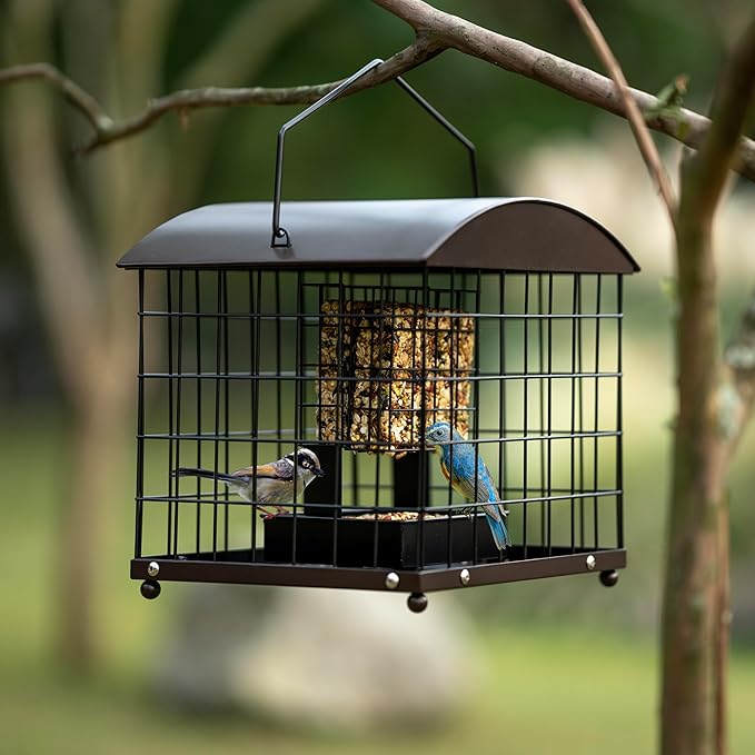 Caged Suet Feeders Squirrel-Proof, Dual-Purpose Suet &Seed Wild Bird Feeders with Tray, Huge Metal Caged Bird Feeders Outdoors Hanging, 2 Suet Cakes+1lb Seed Capacity, Copper