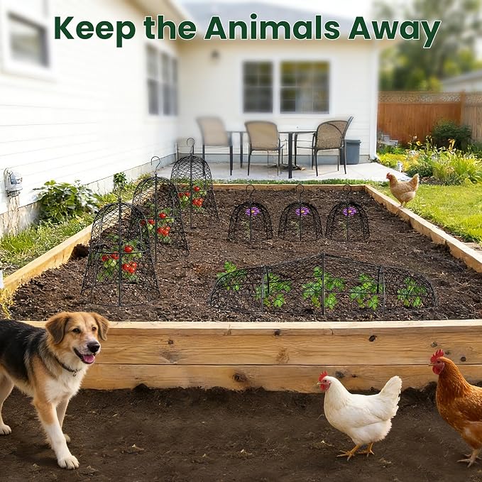 6 Pack Garden Cloche Plant Protectors from Animals, 13" x 11.8" Heavy Duty Chicken Wire Cloche, Adjustable Metal Wire Garden Cloches for Outdoor Plants, Keep Rabbits, Squirrels & Birds Away