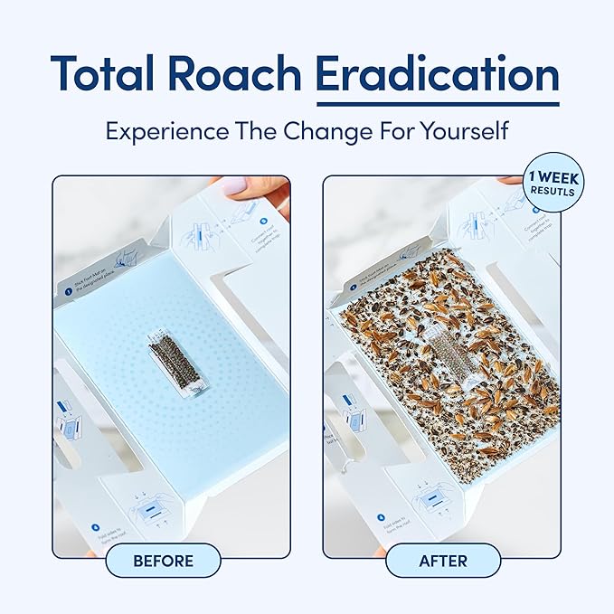 Shieldeck Roach Traps Indoor (12 Pack) – Non-Toxic Sticky Glue Traps for Roaches, Spiders & Crickets – Safe Roach Catcher for Home, Car, Apartment & Motel Pest Control