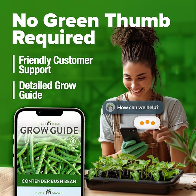 HOME GROWN Contender Bush Bean Seeds 56+ Heirloom Non-GMO, High Germination, Stringless Green Beans for Planting, Early Harvest, Emergency Food Supply, Fresh Eating & Canning (Phaseolus vulgaris)