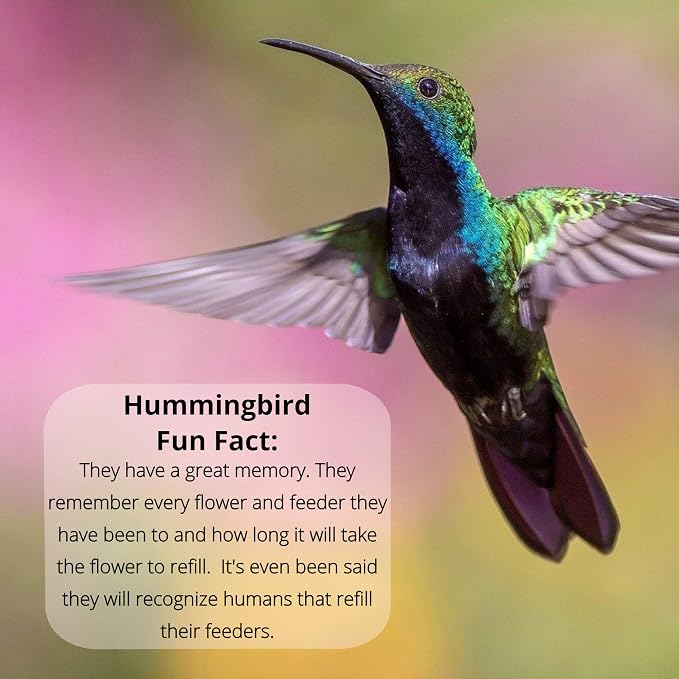 Sapphire Labs Naturally Fresh Hummingbird Nectar with Nectar Defender - Lasts Longer | Easy to Use Powder - Makes 96 oz - 2 Pack