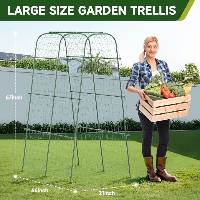 HIRALIY Cucumber Trellis for Climbing Plants Outdoor, 5.6ft Tall Heavy Duty Metal Garden Arch Trellis, Rustproof Plant Support Tunnel for Tomato, Grape, Bean, Raised Bed and Vegetable Gardens, Green