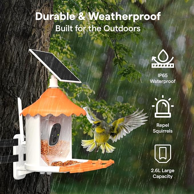 BirdsView Bird Feeder with 2K Ai Camera, Solar Panel, Hummingbird Feeder, Bird House, Live Alerts & Species Recognition – Ideal for Bird Lovers