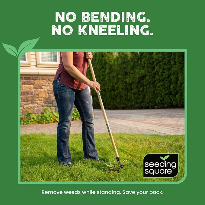 Seeding Square The Weed Gobbler Carbon Steel & Bamboo Stand-Up Weed Puller Tool for Dandelions and Single-Root Weeds – Ergonomic Lawn Weeder for Back-Friendly Weed Removal