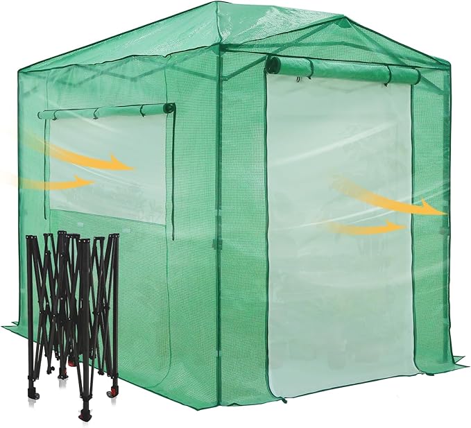 EAGLE PEAK 8x6 Portable Walk in Greenhouse, Pop Up Indoor Outdoor Greenhouse, Green House Kit with Zippered Roll-Up Doors and Windows + Mesh Lined Door, PE Cover, Clear/Green